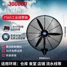 fs65-鋁鎂扇葉-掛壁扇工業(yè)電風(fēng)扇強(qiáng)力落地扇大風(fēng)量牛角扇商用機(jī)械大功率車(chē)間工廠壁掛扇